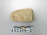 藏品(小型直刃打磨製石斧)的圖片